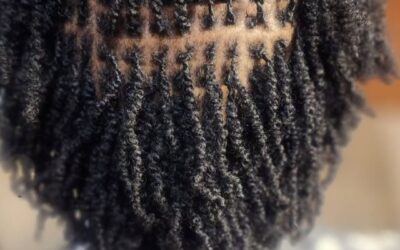 Hair Styles – More Roots – Micro Braids 1